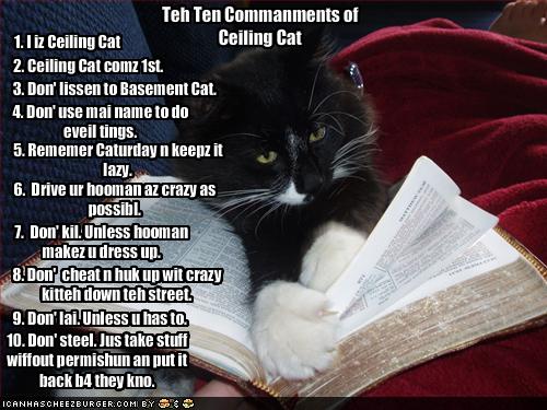 Funnys with Captions Ceiling Cat Bible